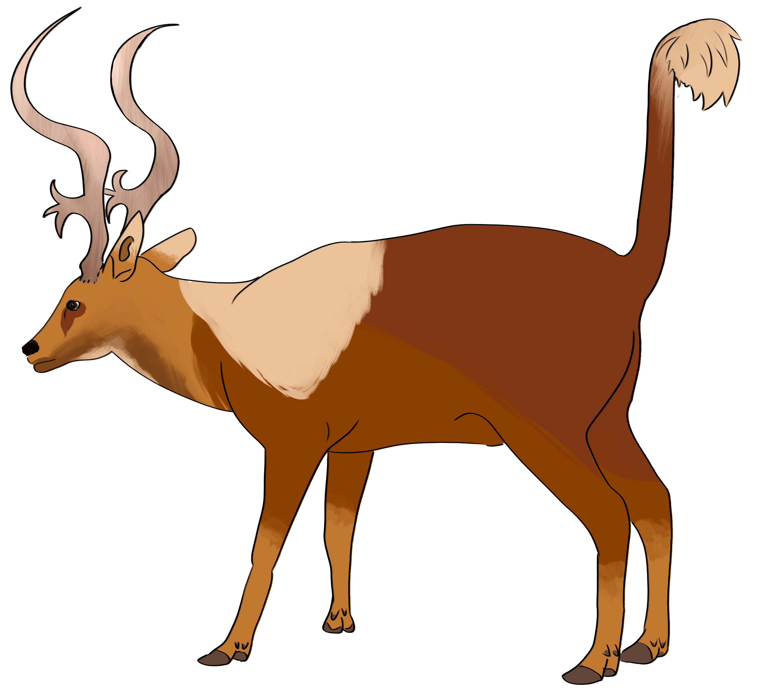 A reddish brown florish deer with tall antlers. It's long tail is held high.